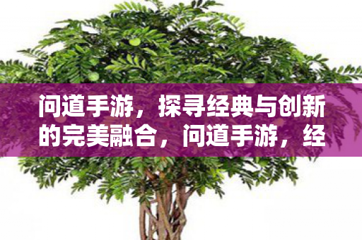 探寻经典与创新的完美融合图片