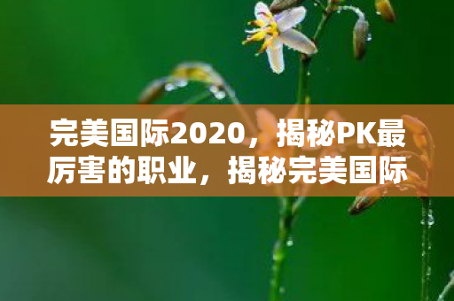 完美国际2020,揭秘PK最厉害的职业,揭秘完美国际2020PK最厉害的职业,谁才是战场上的霸主? 完美国际2020,揭秘PK最厉害的职业,揭秘完美国际2020PK最厉害的职业,谁才是战场上的霸主?