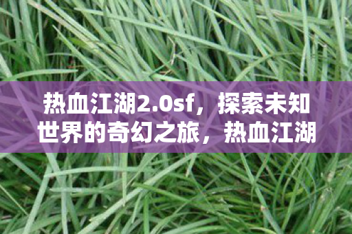 热血江湖2.0sf,探索未知世界的奇幻之旅,热血江湖2.0sf,开启探索未知世界的奇幻之旅 热血江湖2.0sf,探索未知世界的奇幻之旅,热血江湖2.0sf,开启探索未知世界的奇幻之旅