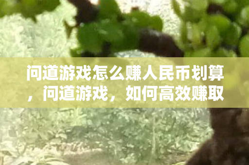 问道游戏怎么赚人民币划算,问道游戏,如何高效赚取人民币? 问道游戏怎么赚人民币划算,问道游戏,如何高效赚取人民币?