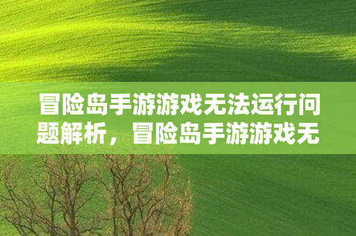 冒险岛手游游戏无法运行问题解析,冒险岛手游游戏无法运行问题解析 冒险岛手游游戏无法运行问题解析,冒险岛手游游戏无法运行问题解析