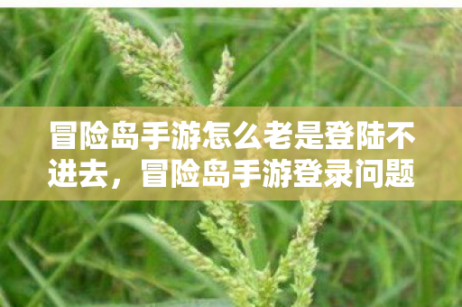 冒险岛手游怎么老是登陆不进去图片