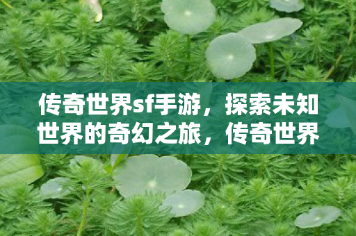 传奇世界sf手游,探索未知世界的奇幻之旅,传奇世界sf手游,探索未知世界的奇幻之旅 传奇世界sf手游,探索未知世界的奇幻之旅,传奇世界sf手游,探索未知世界的奇幻之旅