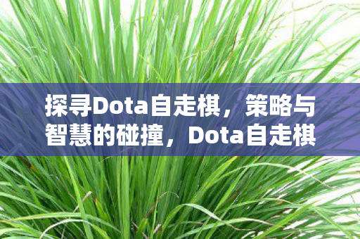 探寻Dota自走棋，策略与智慧的碰撞，Dota自走棋，策略与智慧的碰撞