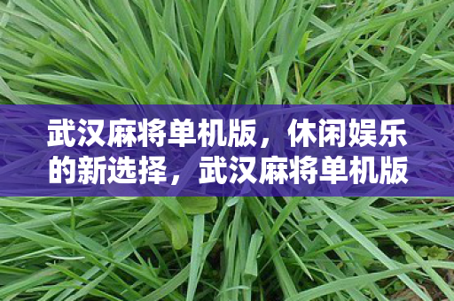 武汉麻将单机版,休闲娱乐的新选择,武汉麻将单机版,打造休闲娱乐新体验 武汉麻将单机版,休闲娱乐的新选择,武汉麻将单机版,打造休闲娱乐新体验