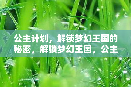 公主计划,解锁梦幻王国的秘密,解锁梦幻王国,公主计划的秘密 公主计划,解锁梦幻王国的秘密,解锁梦幻王国,公主计划的秘密