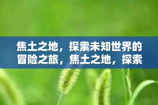 焦土之地,探索未知世界的冒险之旅,焦土之地,探索未知世界的冒险之旅 焦土之地,探索未知世界的冒险之旅,焦土之地,探索未知世界的冒险之旅