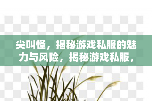 尖叫怪,揭秘游戏私服的魅力与风险,揭秘游戏私服,尖叫怪带来的魅力与风险 尖叫怪,揭秘游戏私服的魅力与风险,揭秘游戏私服,尖叫怪带来的魅力与风险