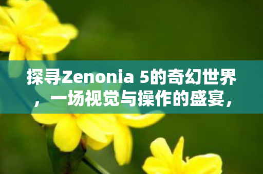 探寻Zenonia 5的奇幻世界，一场视觉与操作的盛宴，Zenonia 5，视觉与操作的奇幻盛宴