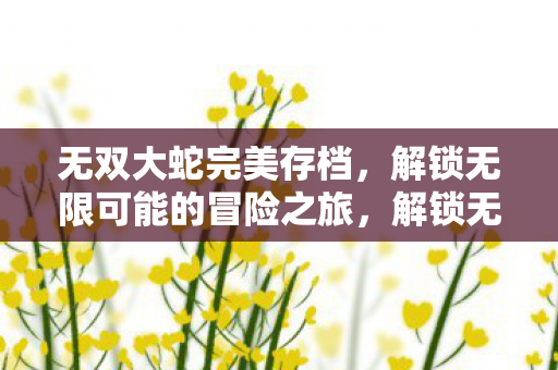 无双大蛇完美存档,解锁无限可能的冒险之旅,解锁无限冒险,无双大蛇完美存档 无双大蛇完美存档,解锁无限可能的冒险之旅,解锁无限冒险,无双大蛇完美存档