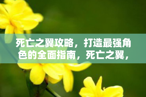 死亡之翼攻略，打造最强角色的全面指南，死亡之翼，打造最强角色的全面攻略