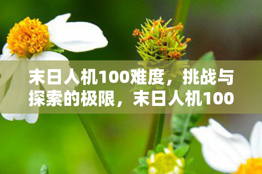 末日人机100难度,挑战与探索的极限,末日人机100难度,挑战与探索的极限 末日人机100难度,挑战与探索的极限,末日人机100难度,挑战与探索的极限