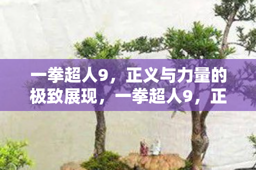 一拳超人9,正义与力量的极致展现,一拳超人9,正义与力量的极致展现 一拳超人9,正义与力量的极致展现,一拳超人9,正义与力量的极致展现