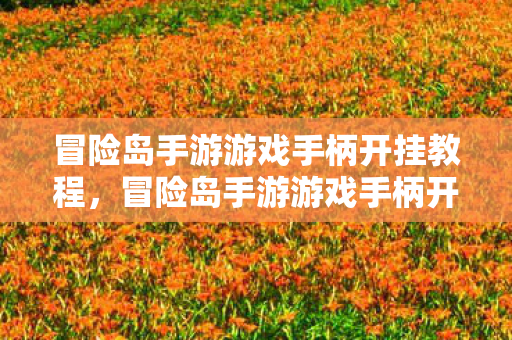 冒险岛手游游戏手柄开挂教程图片