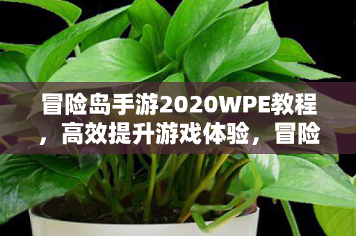 冒险岛手游2020WPE教程,高效提升游戏体验,冒险岛手游2020WPE教程,解锁高效游戏体验 冒险岛手游2020WPE教程,高效提升游戏体验,冒险岛手游2020WPE教程,解锁高效游戏体验