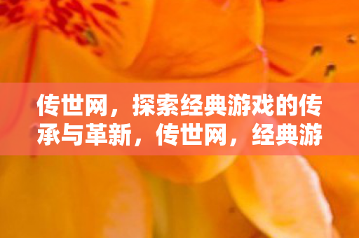 传世网，探索经典游戏的传承与革新，传世网，经典游戏的传承与革新之路
