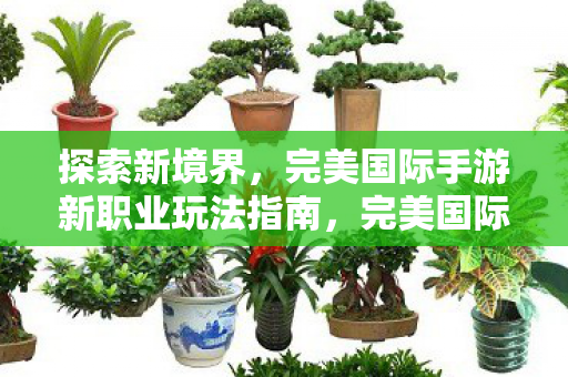 探索新境界，完美国际手游新职业玩法指南，完美国际手游新职业探索指南，解锁全新玩法，挑战未知领域