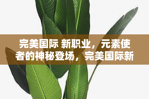 完美国际 新职业，元素使者的神秘登场，完美国际新职业，元素使者神秘登场
