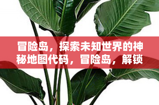 探索未知世界的神秘地图代码图片