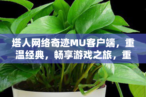 塔人网络奇迹MU客户端,重温经典,畅享游戏之旅,重温经典奇迹MU,塔人网络客户端开启游戏之旅 塔人网络奇迹MU客户端,重温经典,畅享游戏之旅,重温经典奇迹MU,塔人网络客户端开启游戏之旅