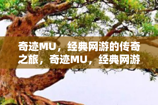 经典网游的传奇之旅图片