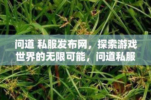 问道 私服发布网，探索游戏世界的无限可能，问道私服发布网，探索游戏世界的无限可能