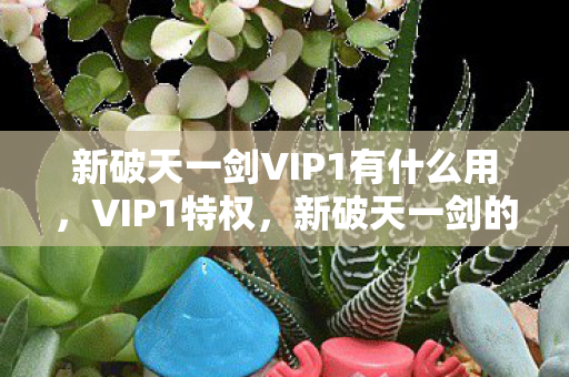 新破天一剑VIP1有什么用,VIP1特权,新破天一剑的专属福利 新破天一剑VIP1有什么用,VIP1特权,新破天一剑的专属福利