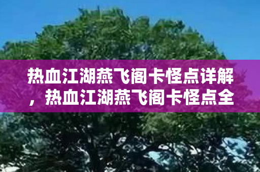 热血江湖燕飞阁卡怪点详解,热血江湖燕飞阁卡怪点全解析 热血江湖燕飞阁卡怪点详解,热血江湖燕飞阁卡怪点全解析