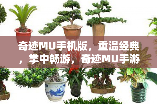 奇迹MU手机版,重温经典,掌中畅游,奇迹MU手游,重温经典,掌中畅游 奇迹MU手机版,重温经典,掌中畅游,奇迹MU手游,重温经典,掌中畅游