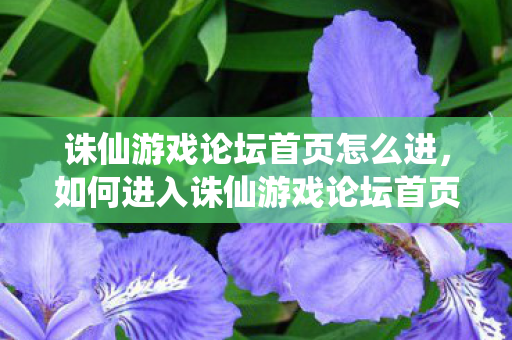 诛仙游戏论坛首页怎么进,如何进入诛仙游戏论坛首页 诛仙游戏论坛首页怎么进,如何进入诛仙游戏论坛首页