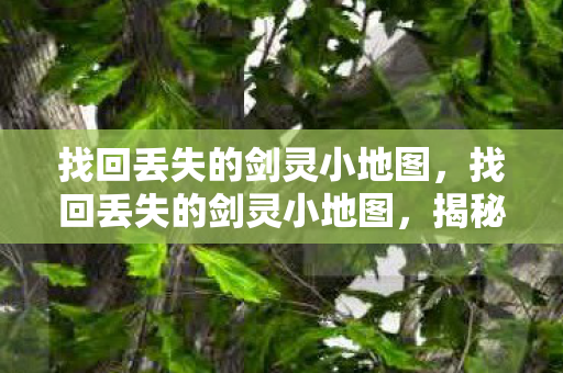 找回丢失的剑灵小地图图片