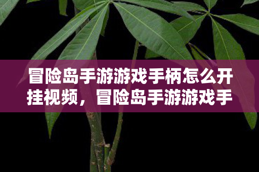 冒险岛手游游戏手柄怎么开挂视频图片