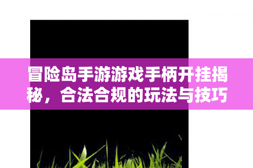冒险岛手游游戏手柄开挂揭秘图片