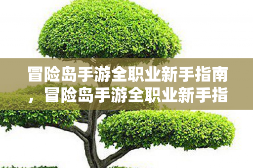 冒险岛手游全职业新手指南,冒险岛手游全职业新手指南,助你快速上手 冒险岛手游全职业新手指南,冒险岛手游全职业新手指南,助你快速上手