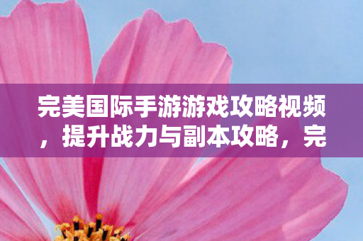 完美国际手游战力提升与副本攻略视频图片