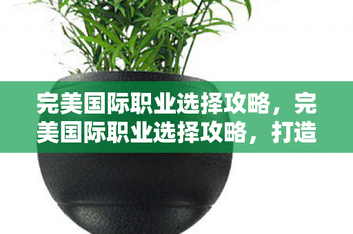 完美国际职业选择攻略，完美国际职业选择攻略，打造你的专属职业之路