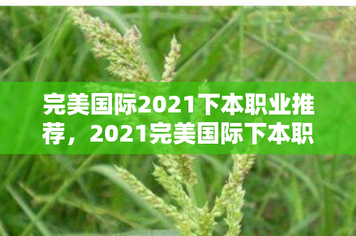 完美国际2021下本职业推荐，2021完美国际下本职业推荐，打造高效团队，选择这些职业！