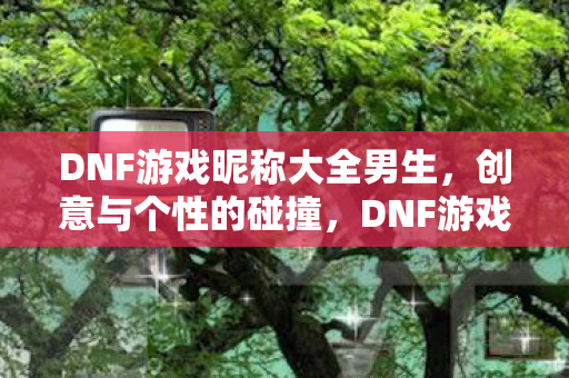DNF游戏昵称大全男生，创意与个性的碰撞，DNF游戏昵称，男生创意与个性的碰撞