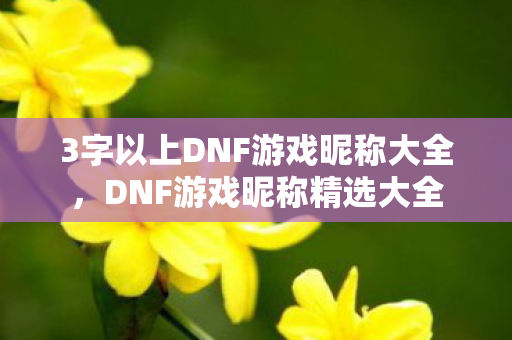 3字以上DNF游戏昵称大全，DNF游戏昵称精选大全