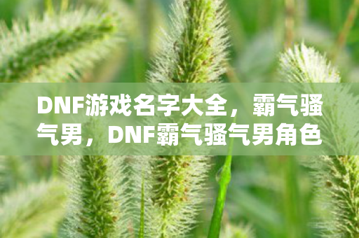 DNF游戏名字大全,霸气骚气男,DNF霸气骚气男角色名字大全 DNF游戏名字大全,霸气骚气男,DNF霸气骚气男角色名字大全