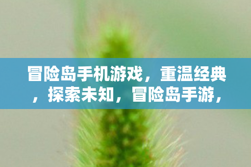 冒险岛手机游戏,重温经典,探索未知,冒险岛手游,重温经典,探索未知之旅 冒险岛手机游戏,重温经典,探索未知,冒险岛手游,重温经典,探索未知之旅