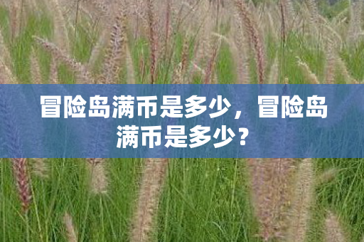 冒险岛满币是多少,冒险岛满币是多少? 冒险岛满币是多少,冒险岛满币是多少?