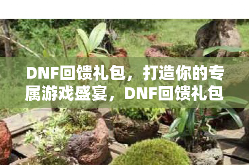 DNF回馈礼包,打造你的专属游戏盛宴,DNF回馈礼包,打造你的专属游戏盛宴 DNF回馈礼包,打造你的专属游戏盛宴,DNF回馈礼包,打造你的专属游戏盛宴