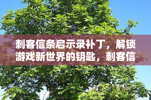 刺客信条启示录补丁,解锁游戏新世界的钥匙,刺客信条启示录补丁,解锁游戏新世界的大门 刺客信条启示录补丁,解锁游戏新世界的钥匙,刺客信条启示录补丁,解锁游戏新世界的大门