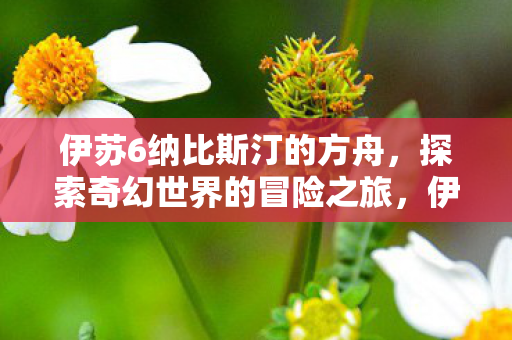 伊苏6纳比斯汀的方舟,探索奇幻世界的冒险之旅,伊苏6纳比斯汀的方舟,奇幻世界的冒险之旅 伊苏6纳比斯汀的方舟,探索奇幻世界的冒险之旅,伊苏6纳比斯汀的方舟,奇幻世界的冒险之旅