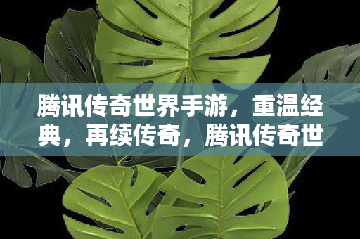 腾讯传奇世界手游图片