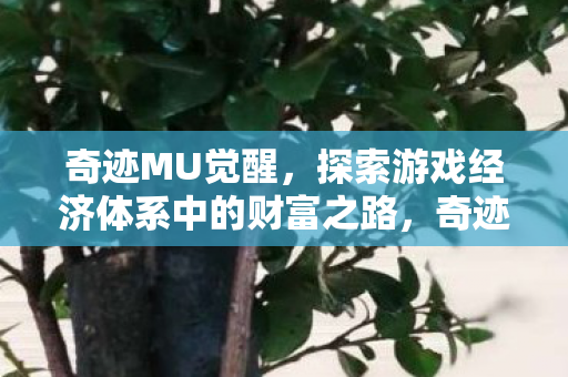 奇迹MU觉醒，探索游戏经济体系中的财富之路，奇迹MU觉醒，探索游戏经济体系中的财富之路