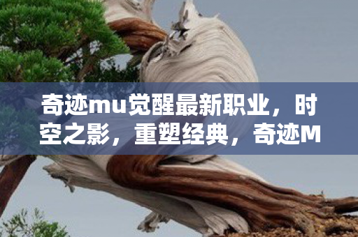 奇迹mu觉醒最新职业，时空之影，重塑经典，奇迹MU觉醒新职业时空之影，重塑经典，挑战未来