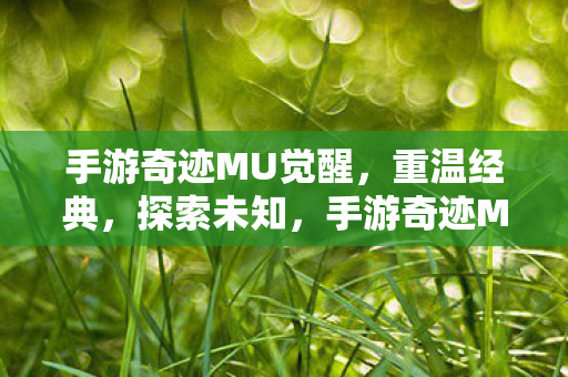 手游奇迹MU觉醒，重温经典，探索未知，手游奇迹MU觉醒，重温经典，探索未知之旅
