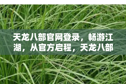 天龙八部官网登录图片